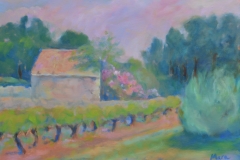 Vineyard Cottage